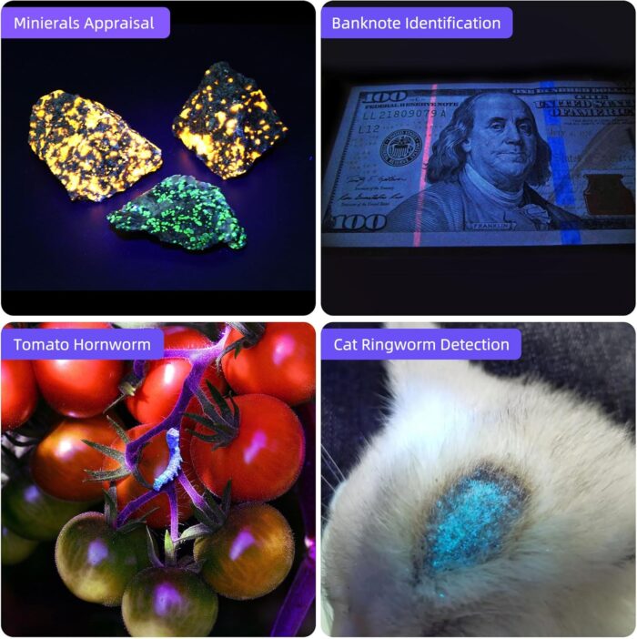 DARKBEAM UV Flashlight Combo - Image 5